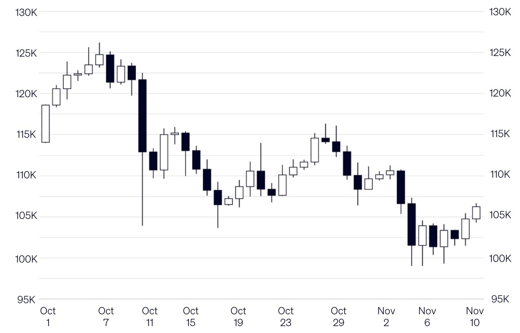 Image 10-11-2025 at 10.20 AM (1)