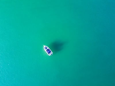 Can Blockchain Prevent ESG Report Greenwashing?