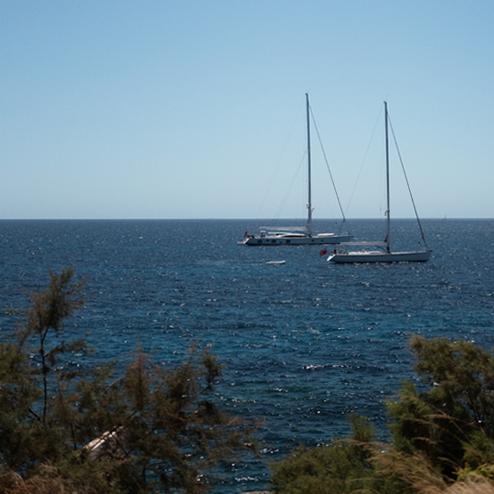 Two sailboats at sea, close to the shore with trees, on a clear sunny day.